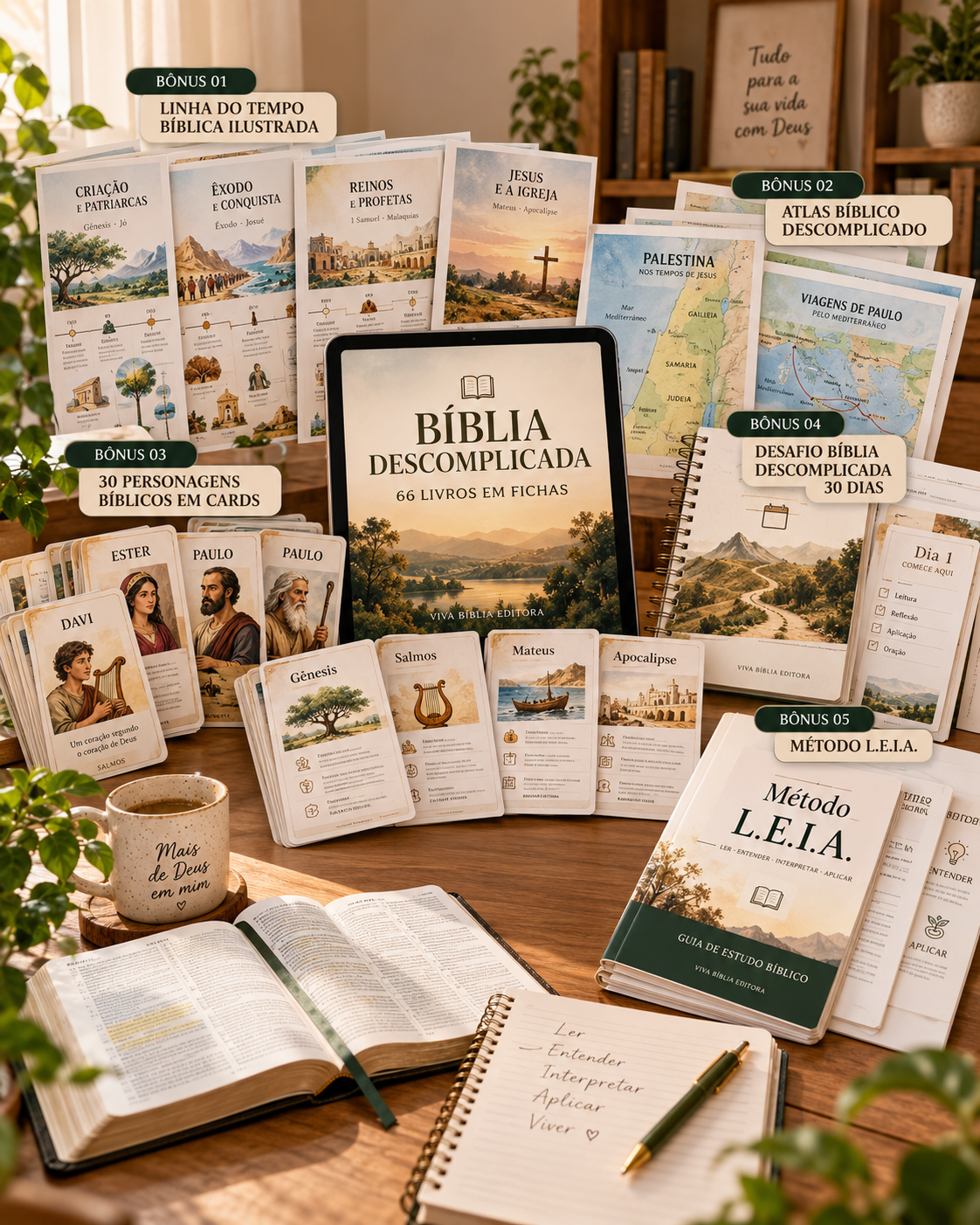 Bíblia Descomplicada: 66 Livros em Fichas